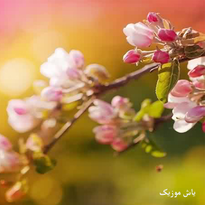 دانلود آهنگ بیزارم و عشق و او قول قراری که بام نهادی دیارا / لری احساسی