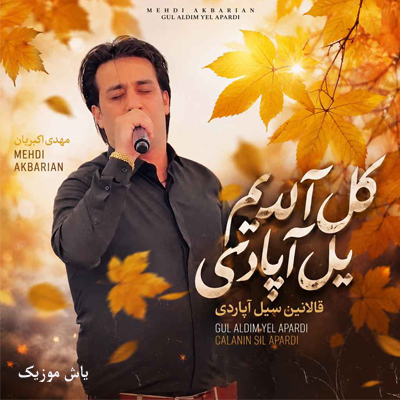 دانلود آهنگ گل آلدیم یل آپاردی قالانین سیل آپاردی مهدی اکبریان / ترکی شاد