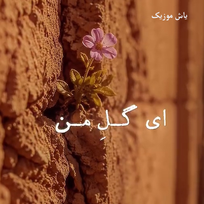 دانلود آهنگ آی گلکم ناز گلکم جونم که بند جونته »» ترند اینستا