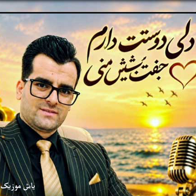 دانلود آهنگ دلی دوست دارم جفت شیش منی سید مرتضی حسینی »» ترند اینستا