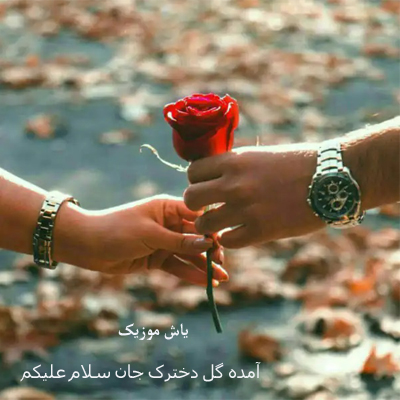 دانلود آهنگ آمده گل دخترک جان سلام علیکم »» افغانی ترند اینستا