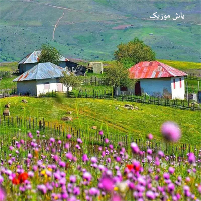 دانلود آهنگ چمه قشنگه یاری را گمرم / ترند اینستا تالشی