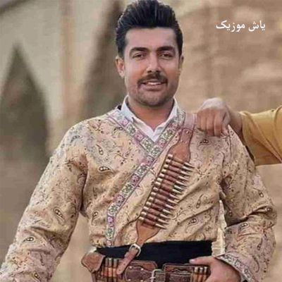 دانلود آهنگ دیوار خشک زردم بی تو غریب ای شهرم فرشید حکمتی