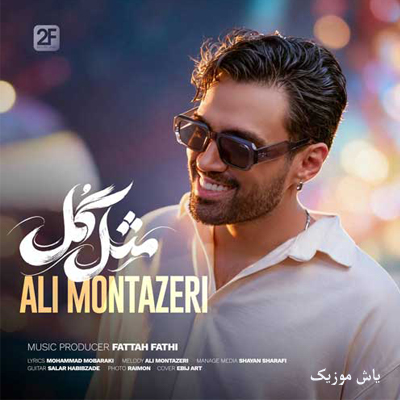 دانلود آهنگ مثل گل وصله به سنجاق سرت دل من علی منتظری / با پخش آنلاین